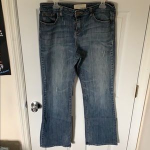 Maurices Long Taylor Boot Cut Jeans